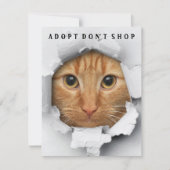 Adopt Don't Shop Cat認識度フラットカード 招待状 (正面)