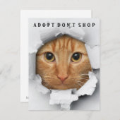 Adopt Don't Shop Cat認識度フラットカード 招待状 (正面/裏面)