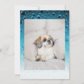 Adopt me dog custom 2 photo shelter animal rescue 招待状 (裏面)