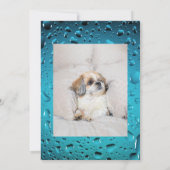 Adopt me dog custom 2 photo shelter animal rescue 招待状 (裏面)