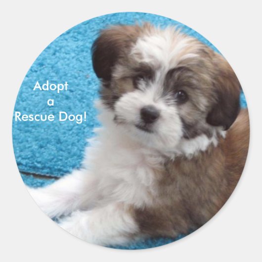 AdoptaRescue犬! ラウンドシール (正面)