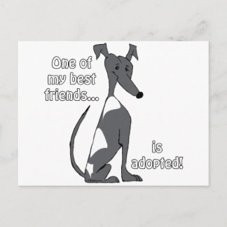 Adopted~BlackandWhite ポストカード