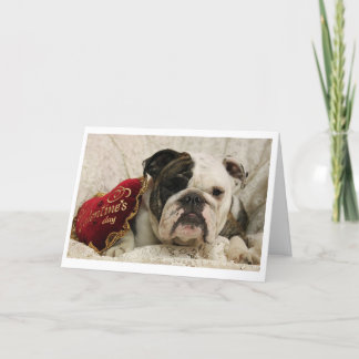 Adora雄牛のバレンタインデーカード シーズンカード