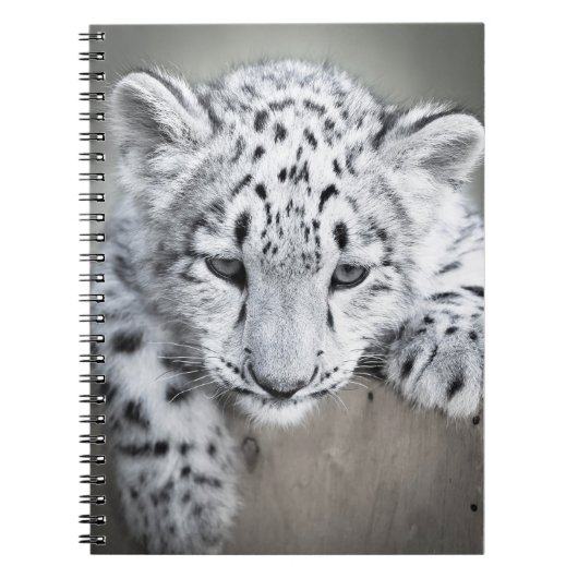 Adorabe Snow Leopard Cub Notebook ノートブック (正面)
