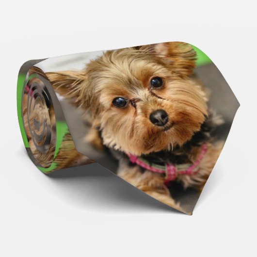 Adorable ネクタイ (ロール)