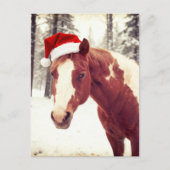 Adorable and Cute Christmas Paint Horse ポストカード (正面)
