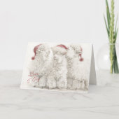 Adorable Angora Goat Christmas Trio  カード (正面)