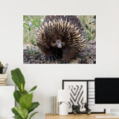 Adorable Australian Echidna ポスター (ホームオフィス)