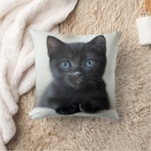 Adorable Black Kitten with Striking Blue Eyes Port クッション (ブランケット)