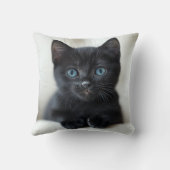 Adorable Black Kitten with Striking Blue Eyes Port クッション (裏面)