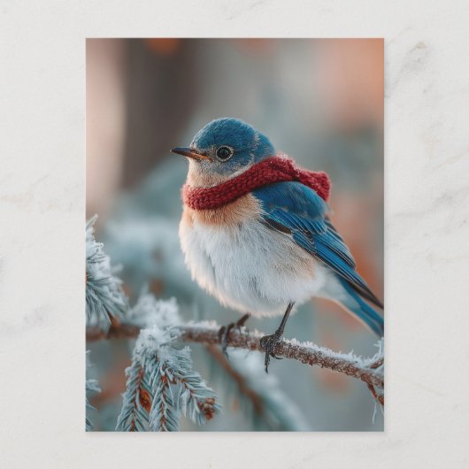 Adorable Bluebird in a Scarf  シーズンポストカード (正面)