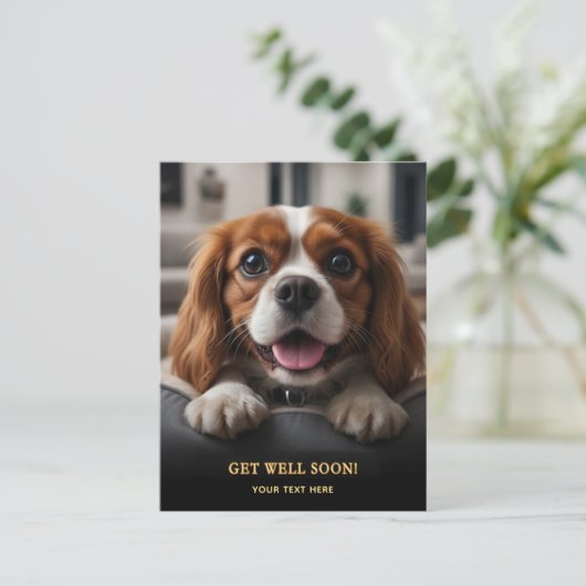 Adorable Cavalier King Charles Spaniel Get Well  ポストカード (スタンド正面)
