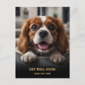 Adorable Cavalier King Charles Spaniel Get Well  ポストカード (正面)