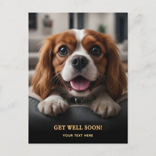 Adorable Cavalier King Charles Spaniel Get Well  ポストカード (正面)