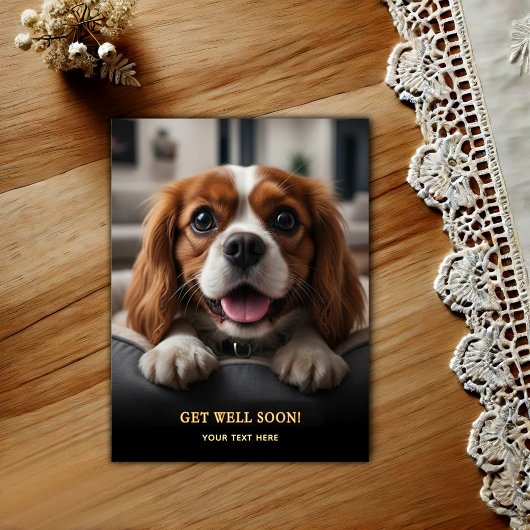 Adorable Cavalier King Charles Spaniel Get Well  ポストカード