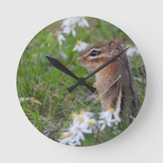 Adorable Chipmunk in flowers ラウンド壁時計 (正面)