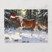 Adorable Christmas Paint Horse Mare ポストカード (正面)