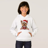 Adorable Christmas Yorkshire Terrier (正面フル)