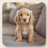 Adorable Cocker Spaniel Personalized Coaster Set コースター (正面)