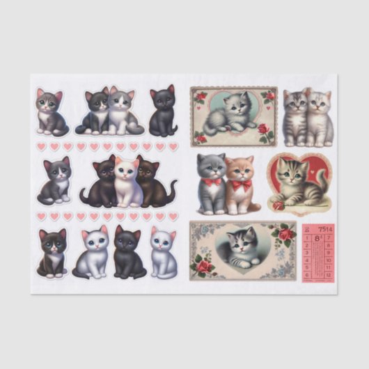 Adorable Collection Cat & Kitten Ephemera 薄葉紙 (正面)