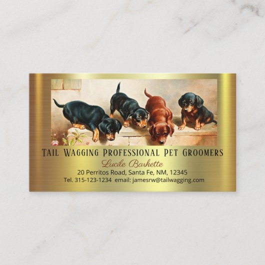 Adorable Cute Dachshund Pup Pet Grooming Chic Gold 名刺 (正面)