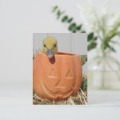 Adorable Duckling in a Pumpkin  ポストカード (スタンド正面)