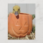 Adorable Duckling in a Pumpkin  ポストカード (正面)