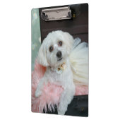 Adorable Fancy White Puppy Portrait Photo クリップボード (左)