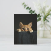Adorable ginger kitty peeking ポストカード (スタンド正面)