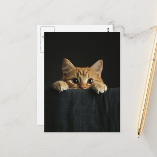 Adorable ginger kitty peeking ポストカード (正面/裏面インサイチュ)