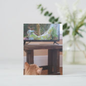 adorable ginger kitty watching TV ポストカード (スタンド正面)