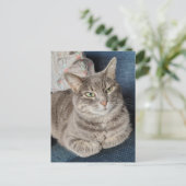 Adorable Grey Tabby Cat ポストカード (スタンド正面)