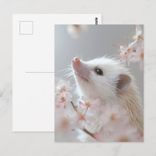 Adorable Hedgehog Among Spring Blossoms ポストカード (正面/裏面)