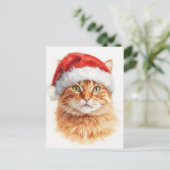 Adorable Orange Tabby Cat in Santa Hat シーズンポストカード (スタンド正面)