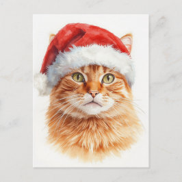 Adorable Orange Tabby Cat in Santa Hat シーズンポストカード