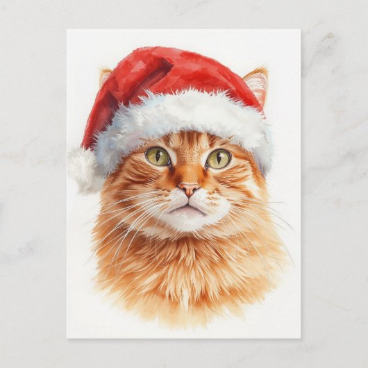 Adorable Orange Tabby Cat in Santa Hat シーズンポストカード (正面)