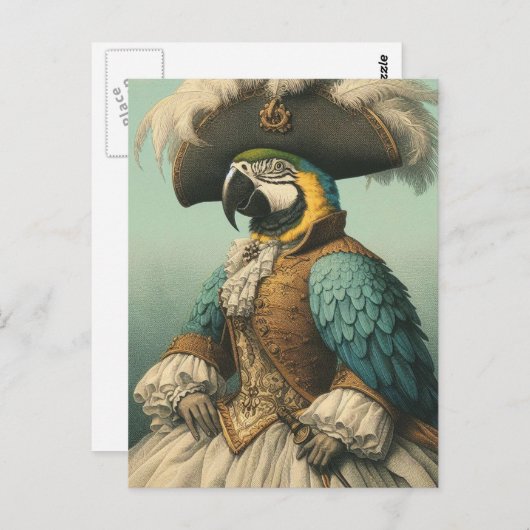 Adorable Pirate Bird ポストカード (正面/裏面)