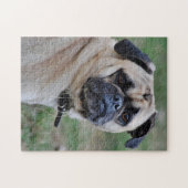 Adorable Pug Photo Puzzle ジグソーパズル (横)