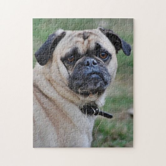 Adorable Pug Photo Puzzle ジグソーパズル (縦)