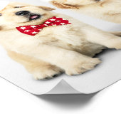 Adorable Puppies ポスター (角)