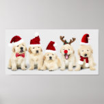 Adorable Puppies ポスター<br><div class="desc">Animal Dog Background with Red Hats</div>