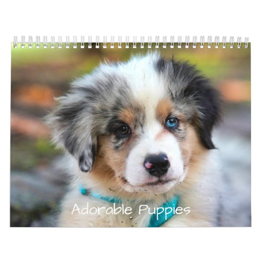 Adorable Puppies 2026 Cute Dog カレンダー (カバー)
