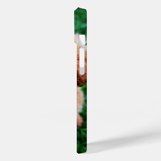 Adorable Puppy Cute Photo  Case-Mate iPhoneケース (裏面 / 左)