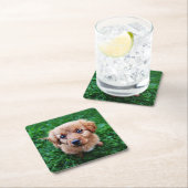 Adorable Puppy Photo スクエアペーパーコースター (インサイチュ)