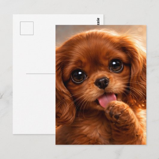 Adorable Ruby Cavalier Spaniel ポストカード (正面/裏面)