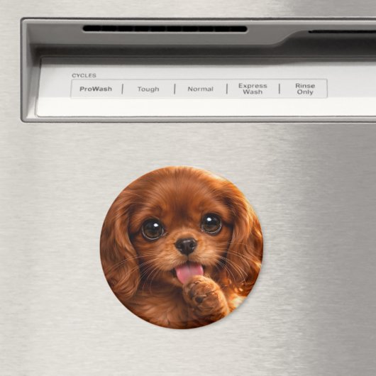 Adorable Ruby Cavalier Spaniel マグネット (インサイチュ (食洗機))