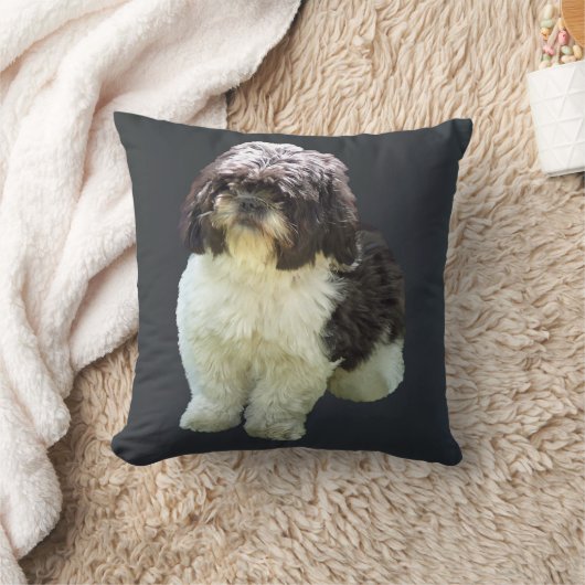 Adorable Shih Tzu Puppy クッション (ブランケット)