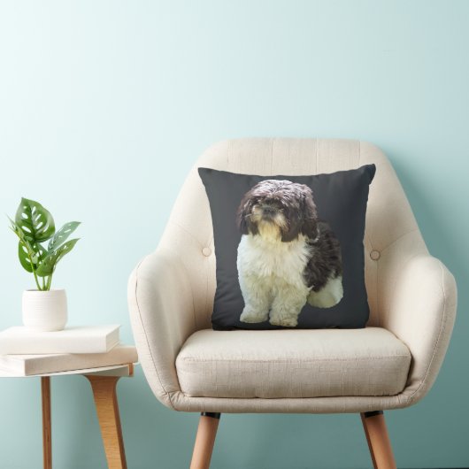 Adorable Shih Tzu Puppy クッション (椅子)