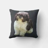 Adorable Shih Tzu Puppy クッション (裏面)