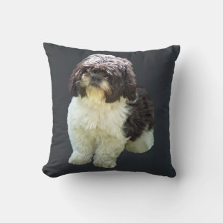 Adorable Shih Tzu Puppy クッション